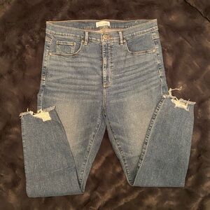LOFT Classic Blue Denim Jeans